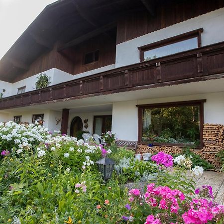 فندق Haus Kogler Inzersdorf im Kremstal المظهر الخارجي الصورة
