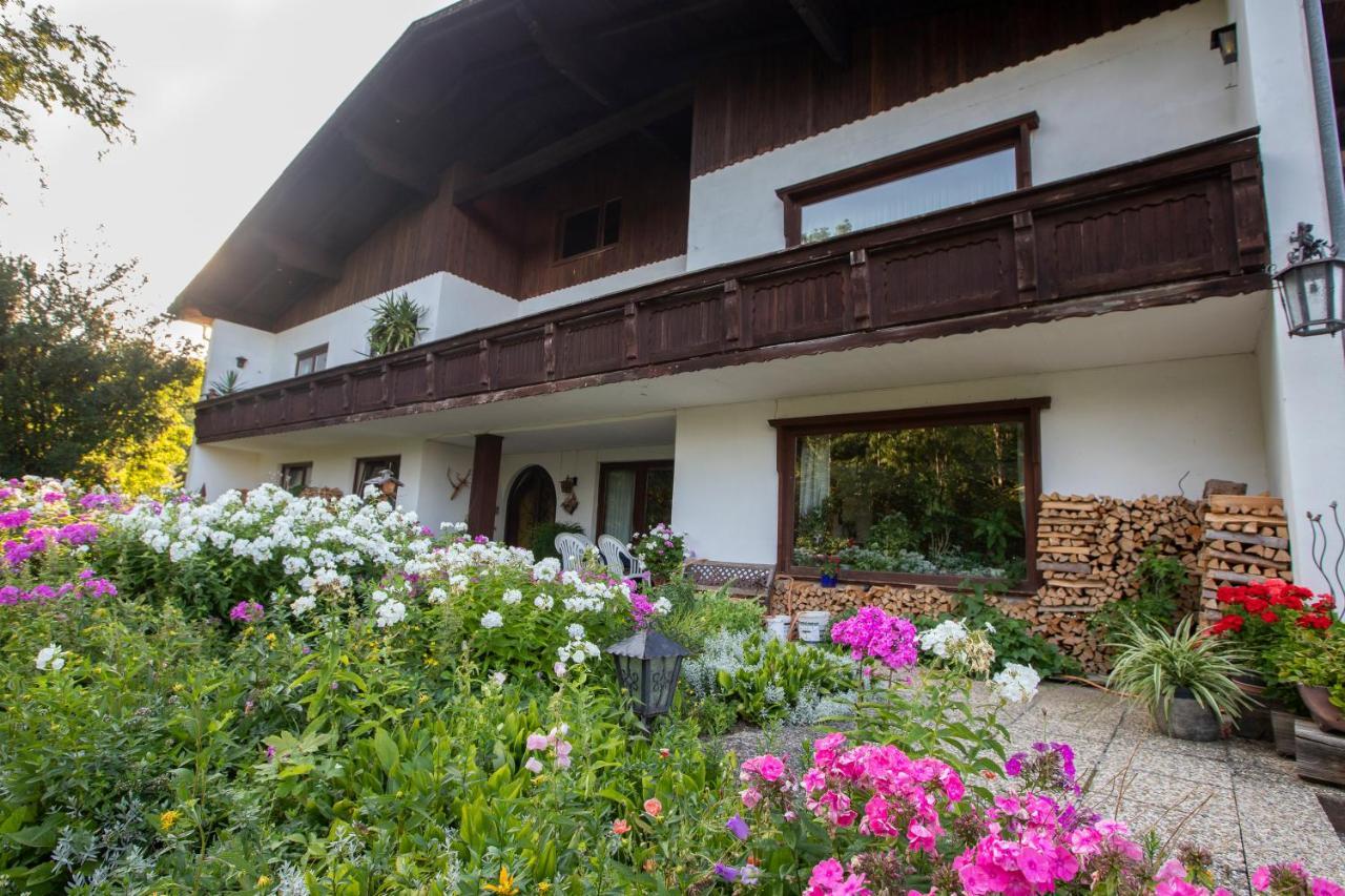 فندق Haus Kogler Inzersdorf im Kremstal المظهر الخارجي الصورة